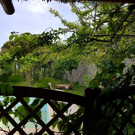 Mirto Con Piscina Tatil Evi *