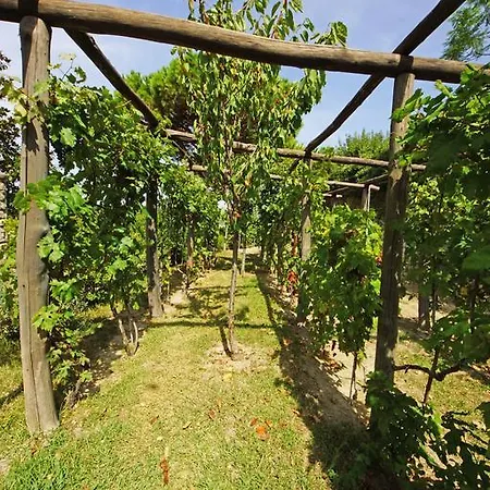 Mirto Con Piscina *