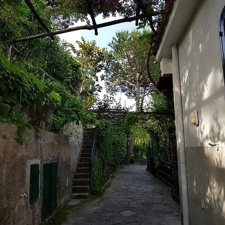 Vakantiehuis Mirto Con Piscina *