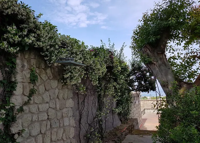 Mirto Con Piscina * イスキア島